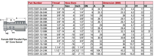 Female BSP Parallel Pipe 30° Cone Swivel