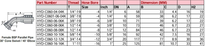 Female BSP Parallel Pipe 30° Cone Swivel/45° Elbow