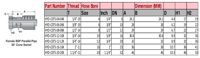 Female BSP Parallel Pipe 30° Cone Swivel