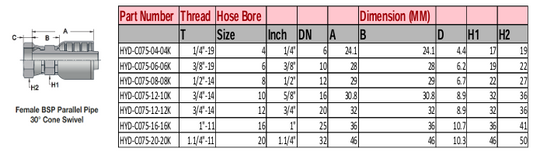 Female BSP Parallel Pipe 30° Cone Swivel