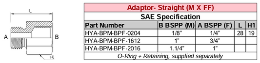 Adaptor - Straight (M X FF) BSPP - BSPP - SAE Specification