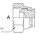 Adaptor Cap - BSPP Female
