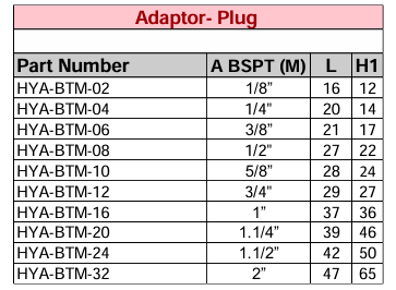 Adaptor Plug - BSPT Male