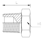 Adaptor Plug - BSPT Male